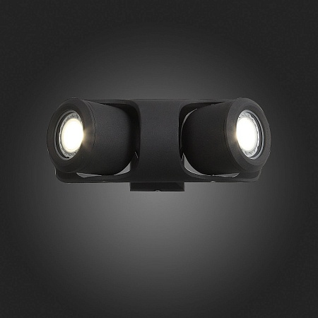 Светильник уличный настенный ST-Luce Черный/Черный, Прозрачный G5,3 2*3W SL093.401.02 - фото