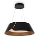Подвесной светильник Freya FR6092PL-L72GB - фото
