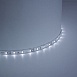 Светодиодная LED лента Feron LS604, 60SMD(2835)/m 4.8W/m 12V 1m 6500К - фото
