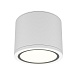 Потолочный светильник Technical Rendo C095CL-GX53-W - фото