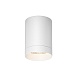 Потолочный светильник Outdoor O500CL-L10W3K - фото