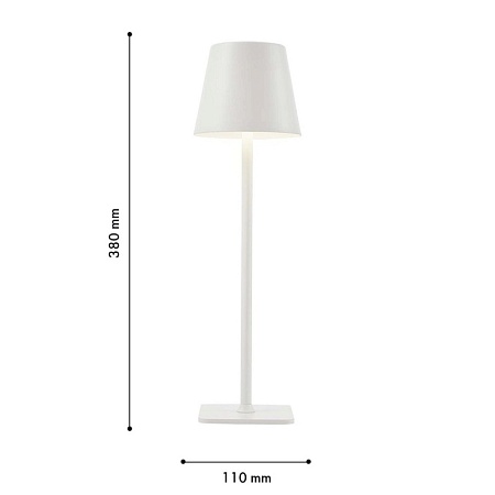 Настольная лампа F-Promo 4614-1T - фото