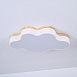 Потолочный Светильник Cloud Eco D63 White Imperiumloft 189501-26 - фото