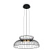 Подвесной светильник Freya CITRUS FR5398PL-L6B - фото