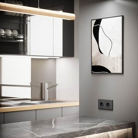 Розетка с заземлением и шторками (графит матовый) W1171164 - фото