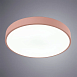 Потолочный светильник Arte Lamp ARENA A2661PL-1PK - фото