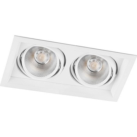 Светодиодный светильник Feron AL202 карданный 2x20W 4000K 35 градусов ,белый - фото