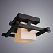 Потолочный светильник Arte Lamp WOODS A8252PL-1CK - фото