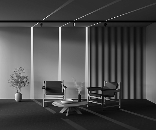 Трековый светильник Technical Outline TR090-2-6W3K-B - фото