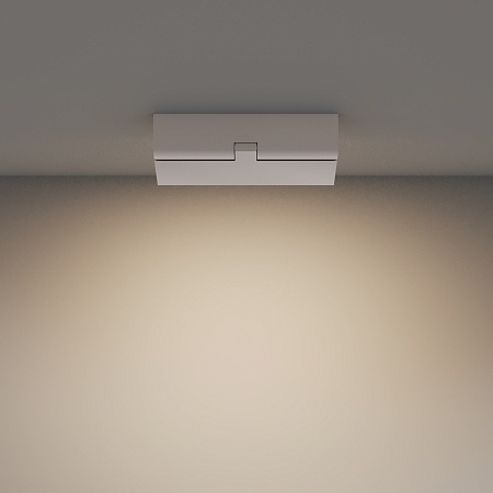 Потолочный светильник Technical Basis Rot C133CL-12W3K-W - фото