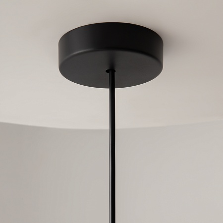 Подвесной светильник Maytoni Basic colors MOD167PL-01B - фото