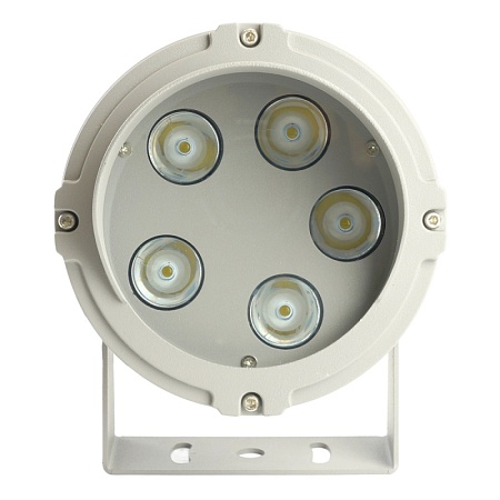 Светодиодный светильник ландшафтно-архитектурный Feron LL-700  85-265V 10W 6400K IP65 - фото