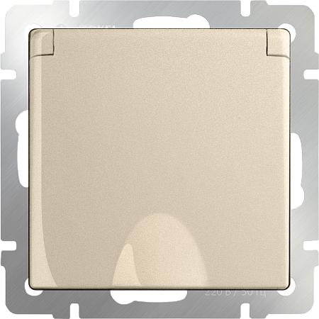 Розетка влагозащ. с зазем. с защит. крышкой и шторками шампань WL11-SKGSC-01-IP44 - фото