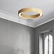 Подвесной Кольцевой Светильник Range 1 D70 Light Wood Imperiumloft 195538-26 - фото