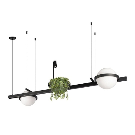 10121/D Подвесной светильник LOFT IT Jardin - фото