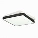 Светильник потолочный Черный, Белый/Белый LED 1*45W 3000K/4000K/6000K SLE200712-01 - фото