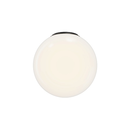 Потолочный светильник Maytoni MOD427CL-L10B3K - фото