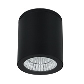 Уличный потолочный светильник Arte Lamp TORCULAR A1813PF-1BK