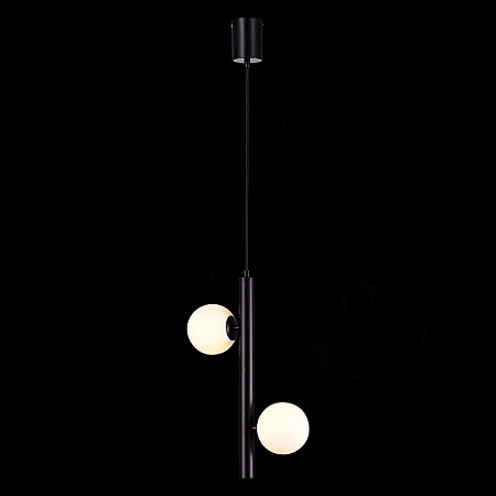 Подвес ST-Luce Черный/Белый G9 LED 2*5W SL1185.403.02 - фото