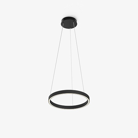 Подвесной светильник Maytoni Rim MOD058PL-L22BK - фото