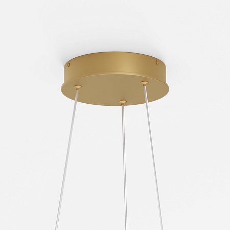 Подвесной светильник Maytoni Rim MOD058PL-L54BSK - фото