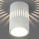 Накладной светодиодный светильник DLS026 - фото