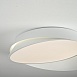 Потолочный Светильник Shell D40 White Imperiumloft 102036-26 - фото