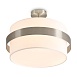 Потолочный светильник Freya Bride FR5367CL-03N - фото