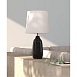 Декоративная настольная лампа Arte Lamp RUKBAT A5046LT-1BK - фото