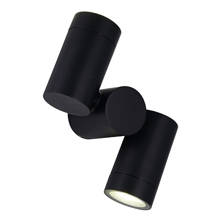 Светильник уличный потолочный ST-Luce черный/белый GU10 2*50W SL9011.402.02 - фото