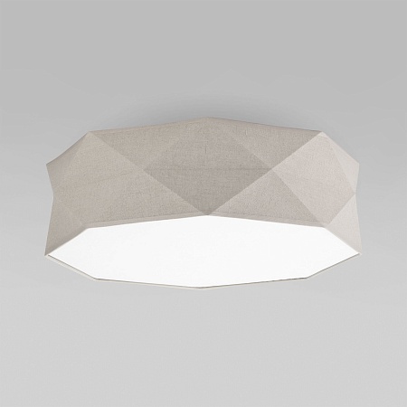 Потолочный светильник TK Lighting 6195 Kantoor Nature - фото