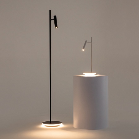 Напольный светильник (торшер) Maytoni Estudo Z010FL-L8B3K - фото
