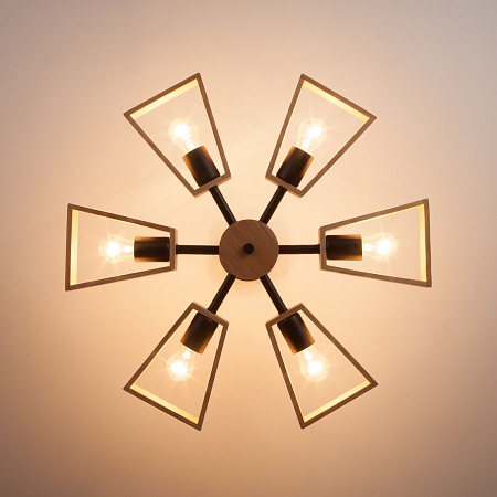 Потолочный светильник Eurosvet 70056/6 черный - фото