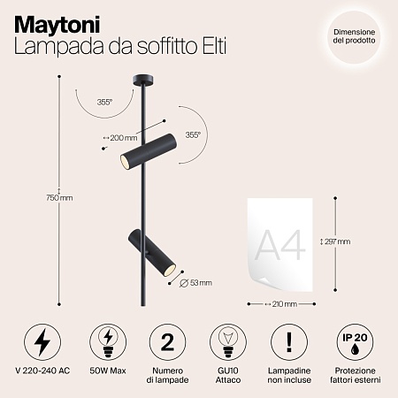 Потолочный светильник Technical Elti C021CL-02B - фото