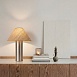 Настольный светильник Freya FR5632TL-01N - фото