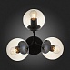 Бра ST-Luce Черный/Янтарный E27 3*40W SL549.411.03 - фото