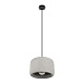 10252/300 Grey Подвесной светильник LOFT IT Stone - фото