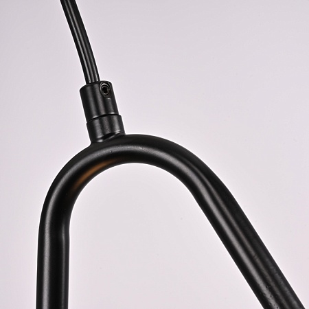 Подвесной Светильник Hoop Drop Black Imperiumloft 213738-26 - фото