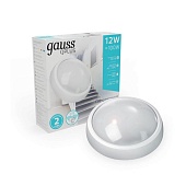 Светильник GAUSS 142411212-S_GAUSS