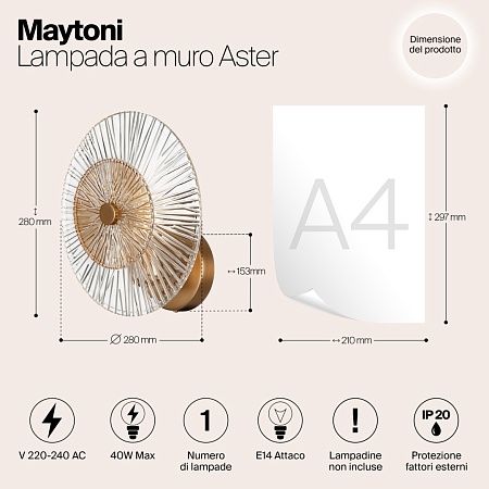 Настенный светильник (бра) Maytoni Aster MOD007WL-01G - фото