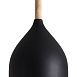 Подвесной светильник Freya FR5466PL-01B - фото