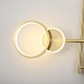 Настенный Светильник Zingy E Brass Imperiumloft 209019-23 - фото