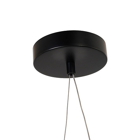 Потолочная люстра Favourite 4560-1PC - фото