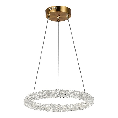 Люстра подвесная ST-Luce Золотистый/Золотистый LED 1*25W 3000 - 6500K SL6110.203.01 - фото