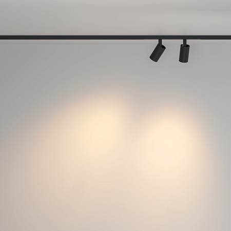 Трековый светильник Technical Focus Duo TR176-1-2X5WTW-M-B - фото