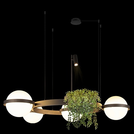 10121/4 Dark grey Подвесной светильник LOFT IT Jardin - фото