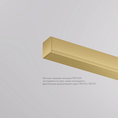 TR5735H-SB Торцевая заглушка, высокая, для использования с экраном, для трека Shine, серия Base, комплект 2 шт, сатинированная латунь, алюминий - фото