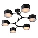 Светильник потолочный Черный/Черный E14 6*60W SLE183402-06 - фото