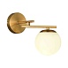 Светильник настенный Латунь/Белый E14 1*40W SLE1195-301-01 - фото