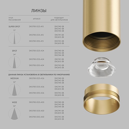 Светильник на шине Denkirs SHINE SPOT DK5742-SB - фото